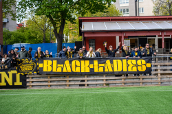 Publikbilder. AIK-Hammarby