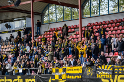 Publikbilder. AIK-Hammarby