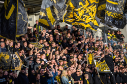 Publikbilder. Häcken-AIK