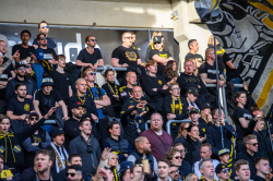 Publikbilder. Häcken-AIK