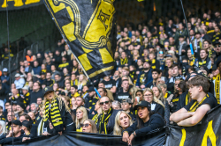 Publikbilder. AIK-Hammarby