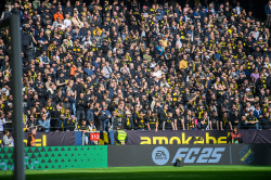 Publikbilder. AIK-Hammarby
