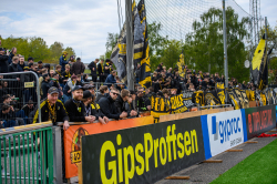 Publikbilder. BP-AIK