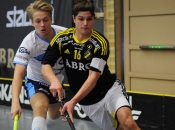 AIK - Warberg.  3-6